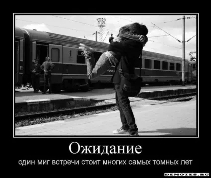 Пошук в Україні