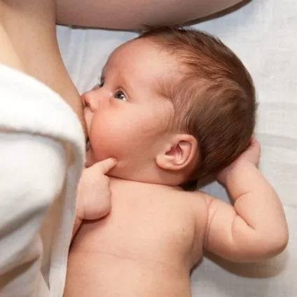 Користь і шкода житнього борошна, склад і властивості, протипоказання, добові норми, рецепти здоров'я і (склад) Користь і шкода житнього борошна, склад і властивості, протипоказання, добові норми, рецепти здоров'я і