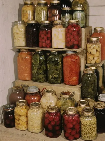 Користь і шкода різних методів заготівель продуктів на зиму - УРЦ ведмідь (таких) Користь і шкода різних методів заготівель продуктів на зиму - УРЦ ведмідь