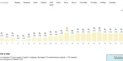 Посадки в вересні - що посадити в городі (переносить низькі температури) Посадки в вересні - що посадити в городі