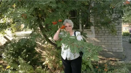 Посадила під вікном горобину