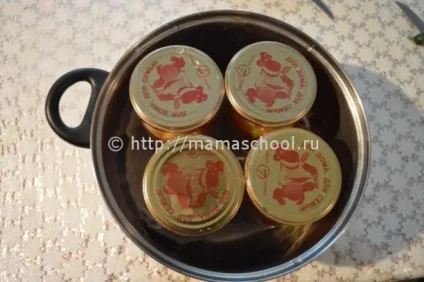 Помідори дольками з цибулею і маслом на зиму (зиму) Помідори дольками з цибулею і маслом на зиму
