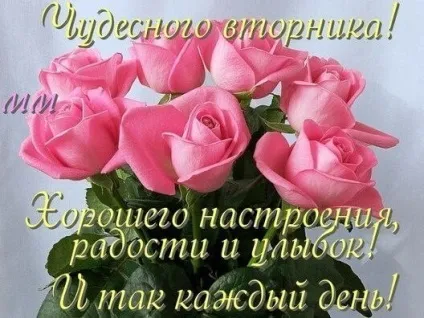 Посадила під вікном горобину