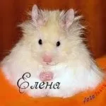 Прекрасні дами по імені лена, леночка, Ленуська, картинки з іменами (лена) Прекрасні дами по імені лена, леночка, Ленуська, картинки з іменами