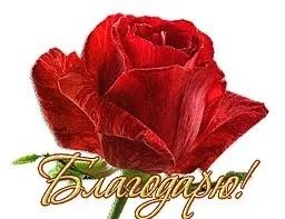 Побажання поетам - Зоя боровик (поетам) Побажання поетам - Зоя боровик