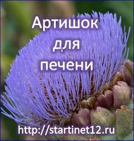 Препарати артишоку ліки, бади, чай з В'єтнаму (бади) Препарати артишоку ліки, бади, чай з В'єтнаму