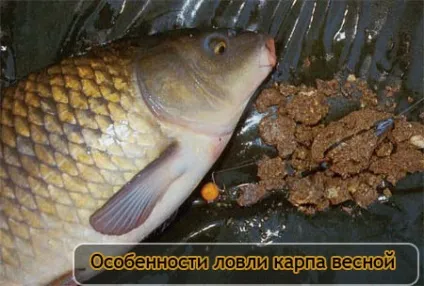 Повідець на коропа з м'якого плетеного матеріалу - тихий омут (петлю) Повідець на коропа з м'якого плетеного матеріалу - тихий омут