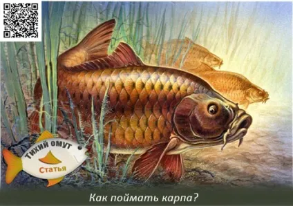 Повідець на коропа з м'якого плетеного матеріалу - тихий омут (крізь) Повідець на коропа з м'якого плетеного матеріалу - тихий омут