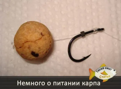Повідець на коропа з м'якого плетеного матеріалу - тихий омут (м'якого) Повідець на коропа з м'якого плетеного матеріалу - тихий омут