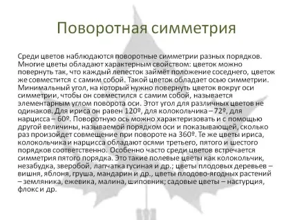 поворотна симетрія