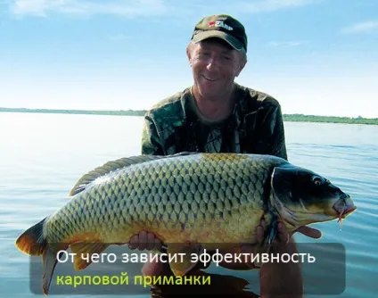 Повідець на коропа з м'якого плетеного матеріалу - тихий омут (приблизно) Повідець на коропа з м'якого плетеного матеріалу - тихий омут