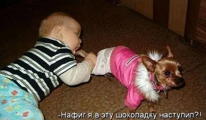 Прикольні картинки з написами про собак (написами) Прикольні картинки з написами про собак