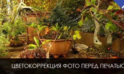 Застосування фільтру high pass для підвищення різкості, корисні прийоми обробки фото зображень (pass) Застосування фільтру high pass для підвищення різкості, корисні прийоми обробки фото зображень