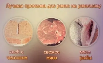 Приманка на раків - ловля в раколовки, застосування кращих і уловистих приманок, відео (приманок) Приманка на раків - ловля в раколовки, застосування кращих і уловистих приманок, відео