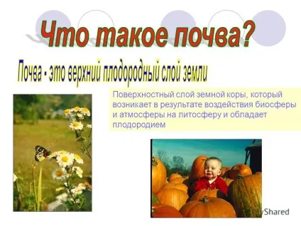 Презентація на тему що представляє собою грунт для чого рослинам потрібна грунт (чого) Презентація на тему що представляє собою грунт для чого рослинам потрібна грунт