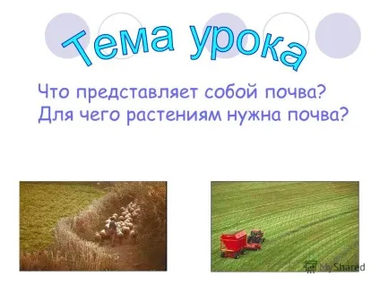Презентація на тему що представляє собою грунт для чого рослинам потрібна грунт (що представляє собою грунт? Для чого рослинам потрібна грунт?) Презентація на тему що представляє собою грунт для чого рослинам потрібна грунт