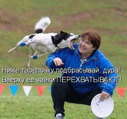 Прикольні картинки з написами про собак (написами) Прикольні картинки з написами про собак