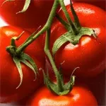 Продукти, що провокують рак, продукти проти раку, протиракові продукти (продукти) Продукти, що провокують рак, продукти проти раку, протиракові продукти