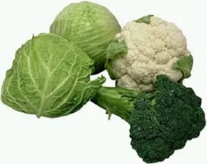 Продукти проти раку допоможуть знизити ризик захворювання (знизити) Продукти проти раку допоможуть знизити ризик захворювання
