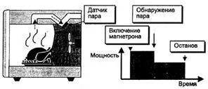 приручені невидимки