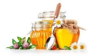 Продукти підвищують кислотність шлунка при гастриті (кислотність) Продукти підвищують кислотність шлунка при гастриті