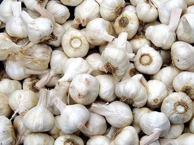 Продукти проти раку допоможуть знизити ризик захворювання (проти) Продукти проти раку допоможуть знизити ризик захворювання