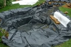 Ставок для розведення риби своїми руками (відео та фото) (дизайн дачі) Ставок для розведення риби своїми руками (відео та фото)