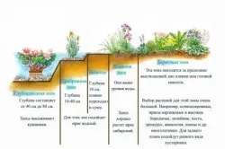 Ставок для розведення риби своїми руками (відео та фото) (риби) Ставок для розведення риби своїми руками (відео та фото)