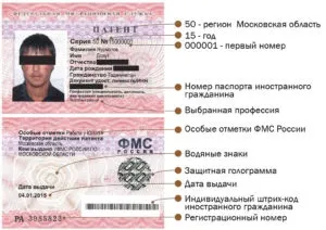 Перевірка патенту на роботу на дійсність по базі УФМС (роботу) Перевірка патенту на роботу на дійсність по базі УФМС