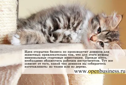 Виробництво когтеточек і будиночків для тварин (будиночків) Виробництво когтеточек і будиночків для тварин