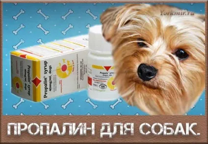 Пропалін для собак, інструкція, відгуки, ціна (пропалін) Пропалін для собак, інструкція, відгуки, ціна