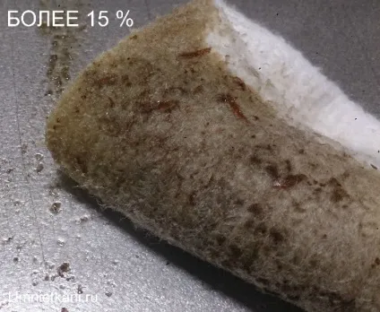 Промаслена ганчір'я клас небезпеки, збір, накопичення, транспортування і «видалення» (промаслена) Промаслена ганчір'я клас небезпеки, збір, накопичення, транспортування і «видалення»