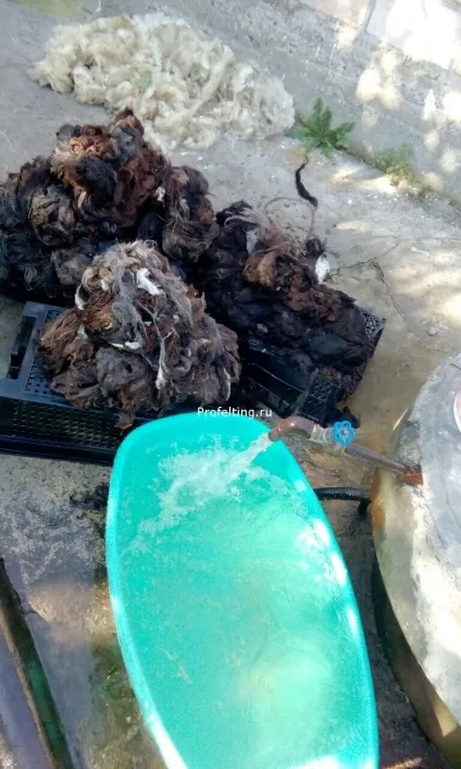 Про Карачаївський шерсть