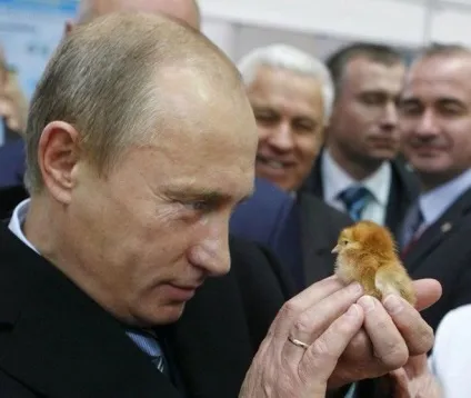 Путін Сміла Смелаовіч досі приваблює жінок, як чоловік (россия) Путін Сміла Смелаовіч досі приваблює жінок, як чоловік
