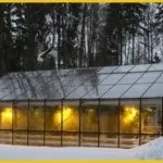 Розведення лисичок