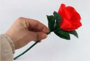 Викриття фокуса з появою хусточки