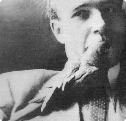 Рідкісні фотографії 12 видів вимерлих птахів (вимерлі тварини) Рідкісні фотографії 12 видів вимерлих птахів