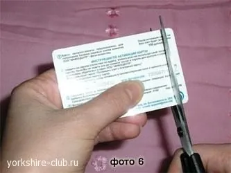 Вплив містера Ідена на йорков (роблячи подклеіванія погладжування) Вплив містера Ідена на йорков