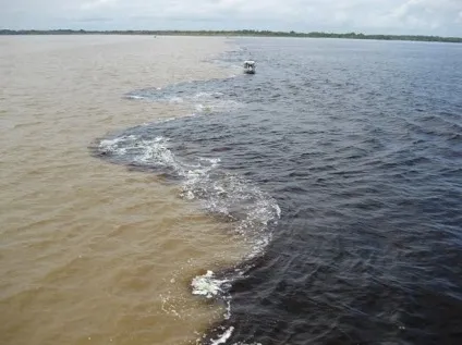 Води яких морів не зливаються через різної щільності води (морів) Води яких морів не зливаються через різної щільності води