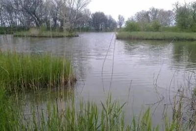Риболовля на тарань