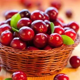 Ротавірусна інфекція симптоми, лікування, народні рецепти (ротавірусна) Ротавірусна інфекція симптоми, лікування, народні рецепти