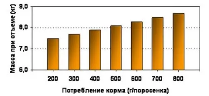 Роль престартерних комбікормів (Престартери) в свинарстві (свинарстві) Роль престартерних комбікормів (Престартери) в свинарстві