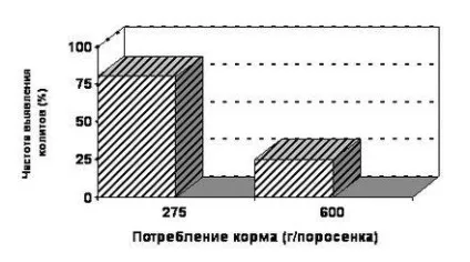 Роль престартерних комбікормів (Престартери) в свинарстві (корми протягом усього циклу) Роль престартерних комбікормів (Престартери) в свинарстві