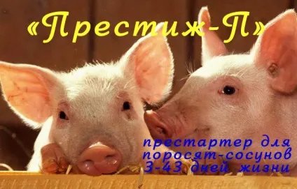 Роль престартерних комбікормів (Престартери) в свинарстві (свинарстві) Роль престартерних комбікормів (Престартери) в свинарстві