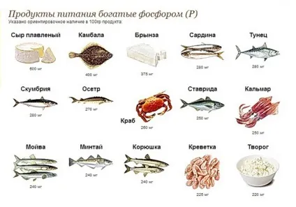 Роль фосфору в організмі, фосфоровмісні продукти і добова норма цього елемента, вітаміни і (роль) Роль фосфору в організмі, фосфоровмісні продукти і добова норма цього елемента, вітаміни і