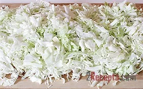 Салат з молодої капусти з огірками - покроковий фото рецепт приготування (блюдо) Салат з молодої капусти з огірками - покроковий фото рецепт приготування