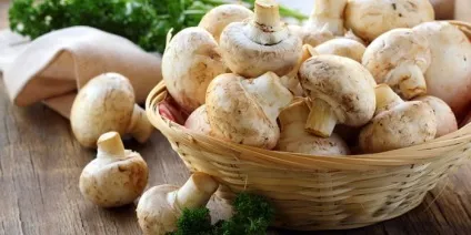 Салат з яловичиною - смачні і прості рецепти з фото (салат з яловичиною) Салат з яловичиною - смачні і прості рецепти з фото
