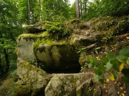 Найкрасивіші місця калузької області (фото) (місця) Найкрасивіші місця калузької області (фото)