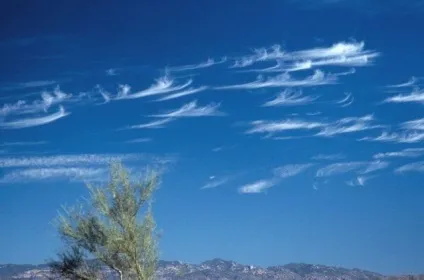 Самі незвичайні види хмар, в світі цікавого (Перисті хмари Cirrus) Самі незвичайні види хмар, в світі цікавого