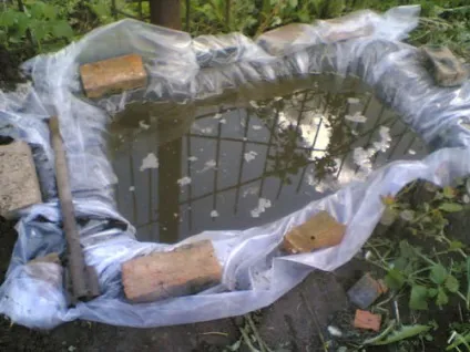 Саморобний ставок на дачі своїми руками - покроковий опис (саморобний) Саморобний ставок на дачі своїми руками - покроковий опис